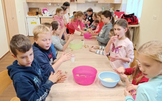 DÖK programok